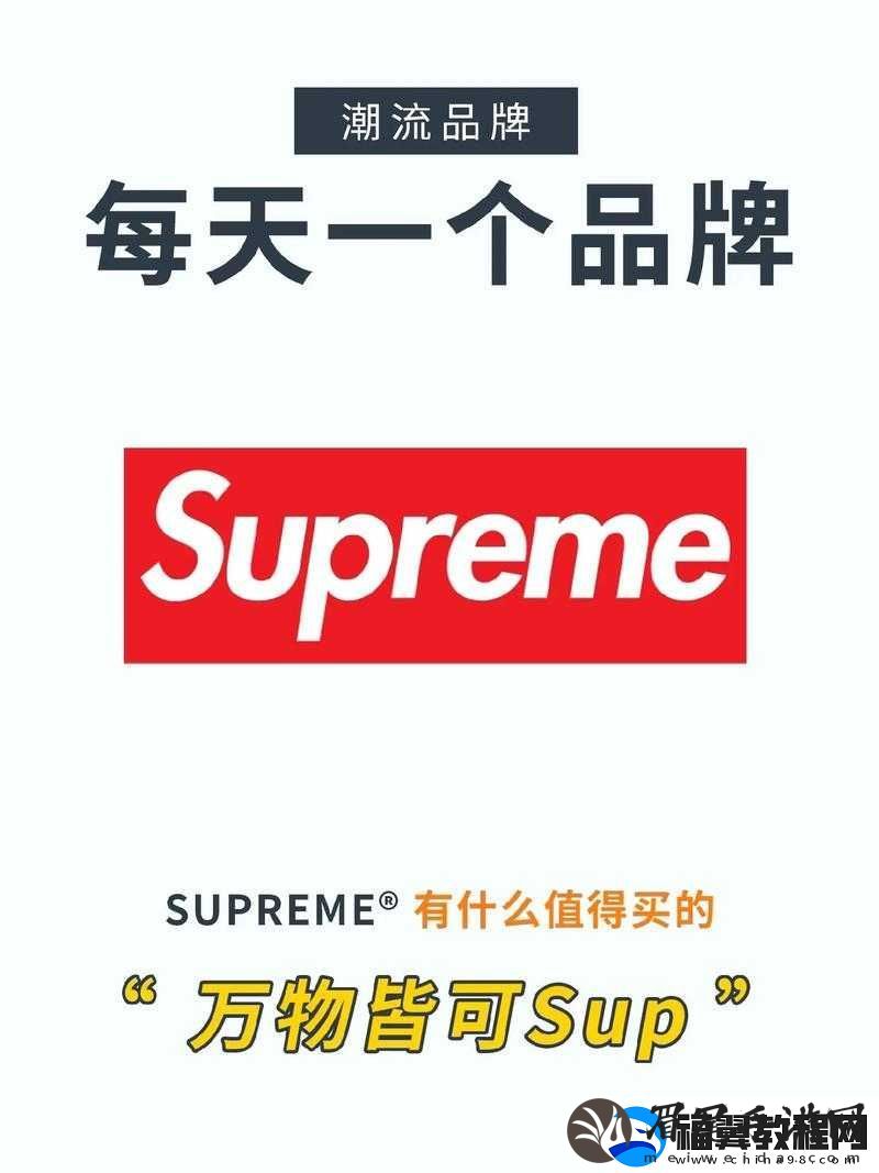 Supreme-国产版本：时尚潮流的新兴力量来袭