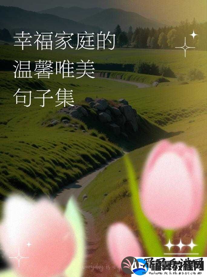 忘忧草在线社区：打造温馨交流的心灵港湾